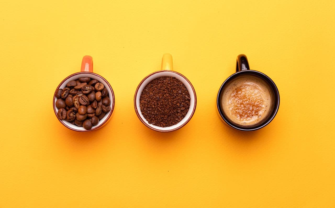 The Sustainable Coffee Guide: Beans, Roasts, Brews, and What to Choose